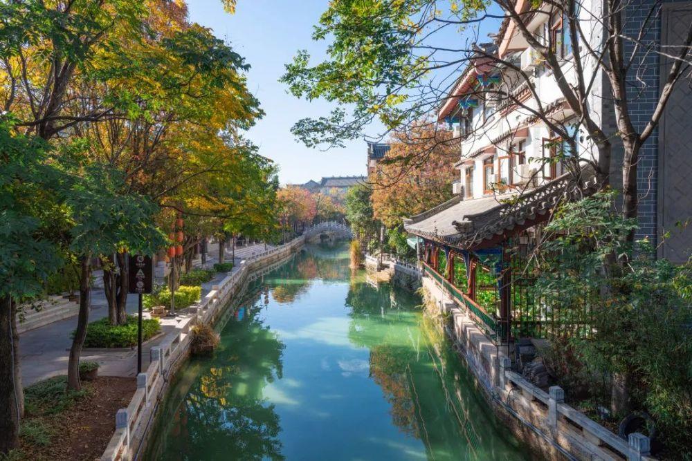 悲伤兔大冒险