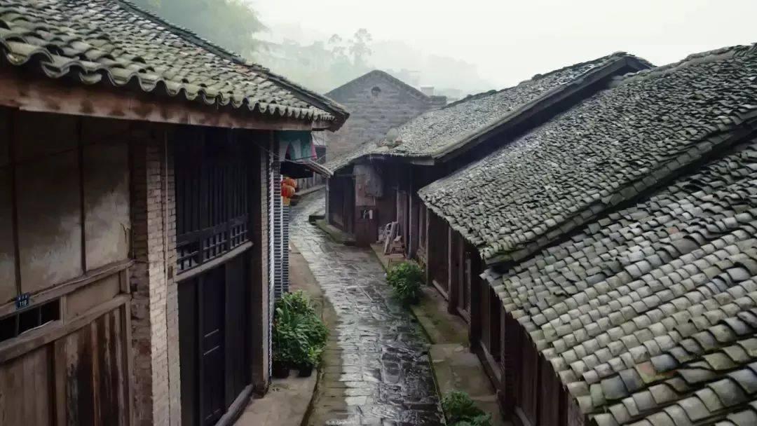 新余消防部门通报市民投诉热线电话占线或无法接通问题:将增设举报电话